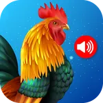 Animals & Birds Ringtones icon