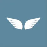 Skyway Driver icon
