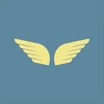 Skyway icon