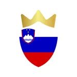 Slovenia Premium VPN | Proxy icon