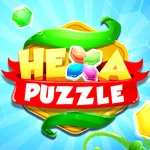 Hexa Puzzle, Block! icon