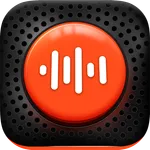 Voice Recorder Pro - VoiceX icon