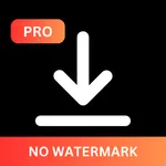 SnapTok - Video Saver icon