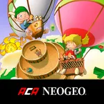 PUZZLED ACA NEOGEO icon