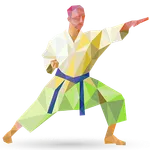 Martial arts icon