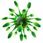 Viruses icon