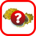 Tebak Gambar Buah V.2 icon
