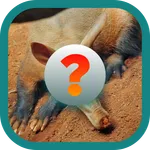 Tebak Gambar Binatang V.1 icon
