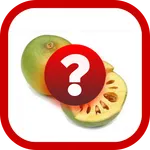Tebak Gambar Buah V.1 icon
