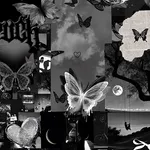 Black Art aesthetic Wallpaper icon