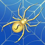 Spider Solitaire icon