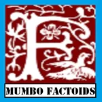 Mumbo Factoids icon