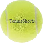 Tennis Coach icon