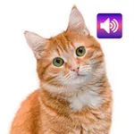 Cat: Sounds & Ringtones icon