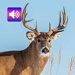 Deer: Sounds & Ringtones icon