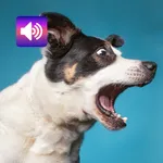 Dog: Sounds & Ringtones icon