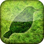 River Meadow Relax & Escape icon