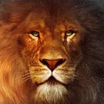 Lion Wallpaper HD icon