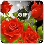 Rose GIF icon