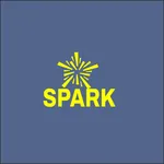 sparkacademybh icon
