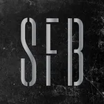 SFB BOXING | Сотрудник icon