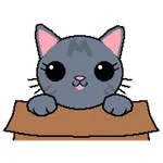 Cat in Box icon