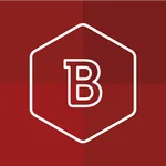 Unofficial Red Sox News icon