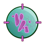 TuberSpot: a game to fight TB icon