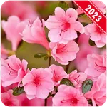 Spring Wallpaper icon