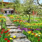 Spring Flowers Garden Wallpape icon