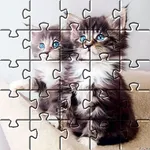 Cute cats app jigsaw puzzles icon