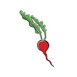 The Wild Radish icon