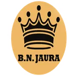 BN BULLION icon