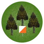 Orienteering for Beginner icon