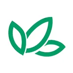 Kingsseeds Sales Order App icon