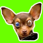 DogStick -  Stickers de perros icon