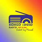 Radio 107.9 FM Konco Ndeso icon