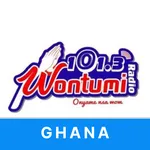 WONTUMI 101.3 RADIO icon