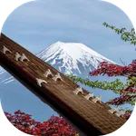 Koto 13-stringed icon