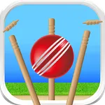 Cricket - Defend the Wicket icon