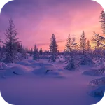 Winter Forest Video Wallpaper icon