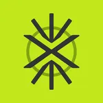 XTeam Fit icon
