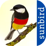 All Birds Germany  - Photo Gui icon