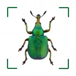 BUND Insekten Kosmos icon
