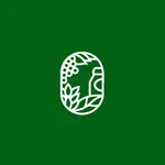 Supermarche icon