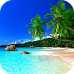 Summer Wallpaper 2025 icon