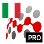 ITALIAN IRREGULAR VERBS PRO CO icon