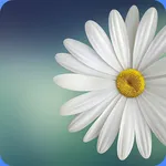 Gallery Lite - Photos, Videos icon