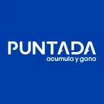Puntada icon