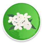 Udupi Mallige - Jasmine Flower icon